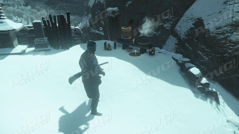 對馬戰鬼 (Ghost of Tsushima) 全部鳴叫蟋蟀位置分享