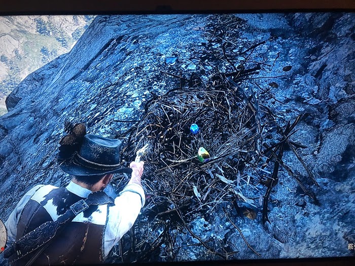 碧血狂殺2 (Red Dead Redemption 2) 鳥巢寶石位置