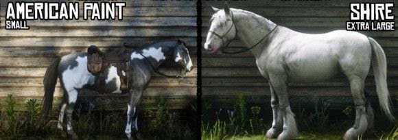 碧血狂殺2 (Red Dead Redemption 2) 各馬種身高與體型對比圖示