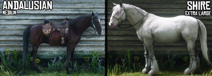 碧血狂殺2 (Red Dead Redemption 2) 各馬種身高與體型對比圖示