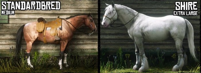 碧血狂殺2 (Red Dead Redemption 2) 各馬種身高與體型對比圖示