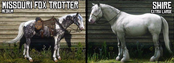 碧血狂殺2 (Red Dead Redemption 2) 各馬種身高與體型對比圖示
