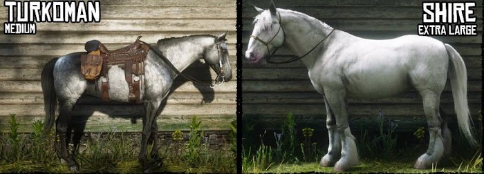 碧血狂殺2 (Red Dead Redemption 2) 各馬種身高與體型對比圖示