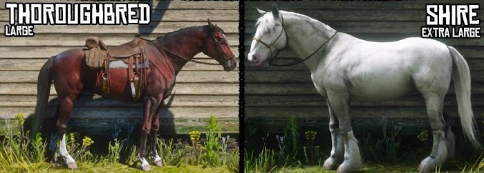 碧血狂殺2 (Red Dead Redemption 2) 各馬種身高與體型對比圖示