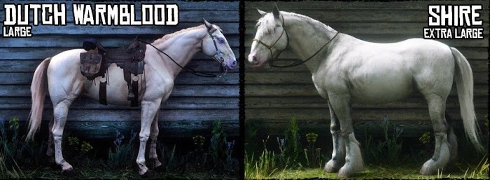 碧血狂殺2 (Red Dead Redemption 2) 各馬種身高與體型對比圖示
