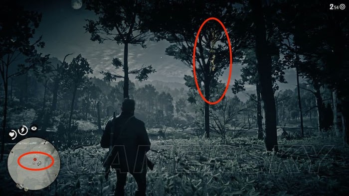 碧血狂殺2 (Red Dead Redemption 2) 老人的智慧陌生人任務攻略