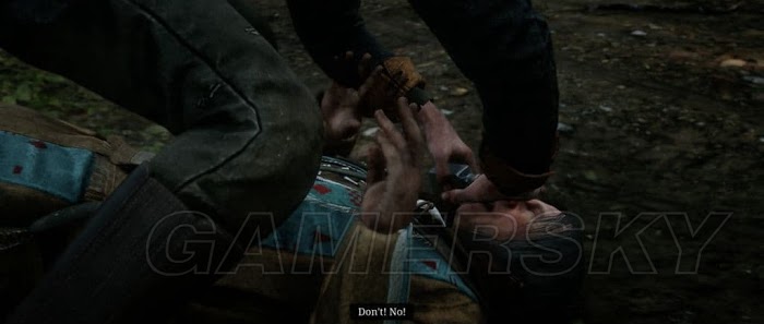 碧血狂殺2 (Red Dead Redemption 2) 老人的智慧陌生人任務攻略
