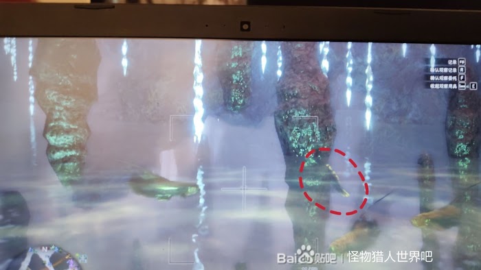 魔物獵人 世界 Iceborne 稀有生物捕捉方法