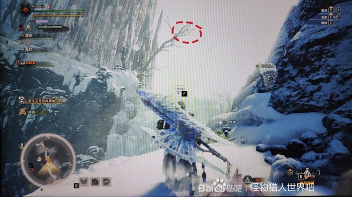 魔物獵人 世界 Iceborne 稀有生物捕捉方法