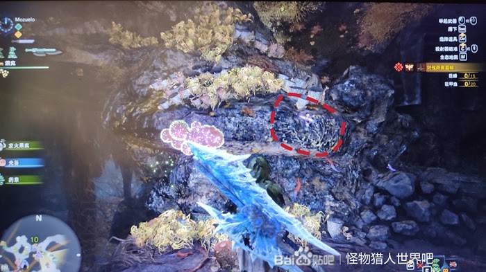 魔物獵人 世界 Iceborne 稀有生物捕捉方法