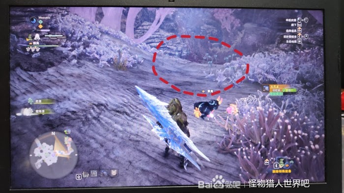 魔物獵人 世界 Iceborne 稀有生物捕捉方法
