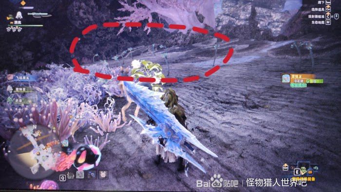 魔物獵人 世界 Iceborne 稀有生物捕捉方法