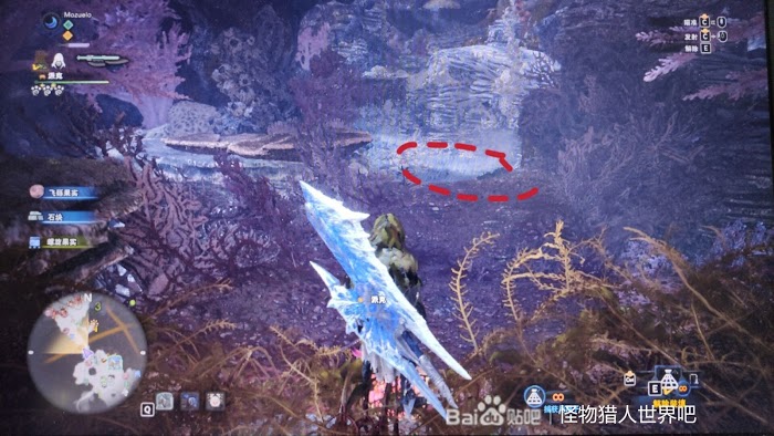 魔物獵人 世界 Iceborne 稀有生物捕捉方法