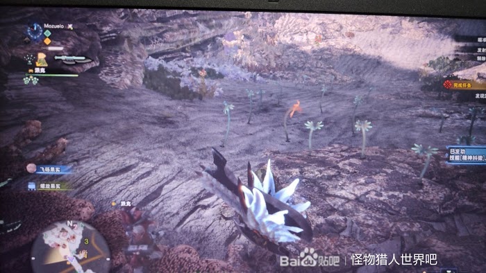 魔物獵人 世界 Iceborne 稀有生物捕捉方法