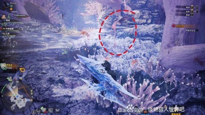 魔物獵人 世界 Iceborne 稀有生物捕捉方法