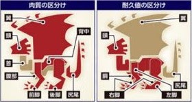 魔物獵人 世界 Iceborne 怪物硬直與部位破壞條件分析