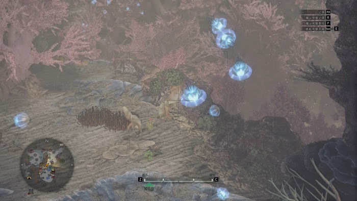 魔物獵人 世界 Iceborne 陸珊瑚營地挖龍骨技巧