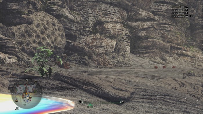 魔物獵人 世界 Iceborne 陸珊瑚營地挖龍骨技巧