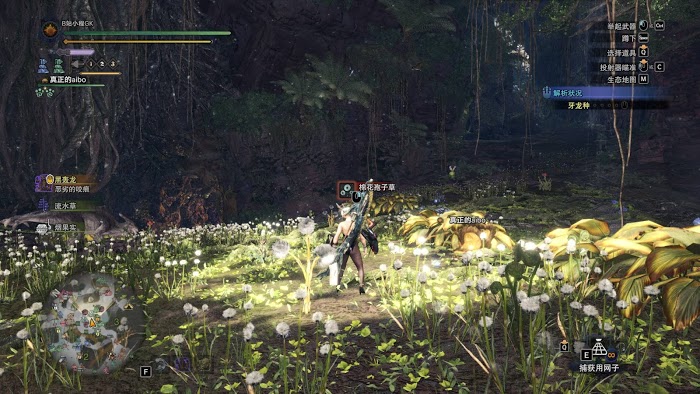 魔物獵人 世界 Iceborne 聚魔之地玩法方法