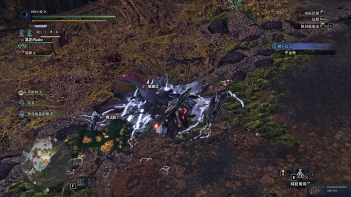 魔物獵人 世界 Iceborne 聚魔之地玩法方法