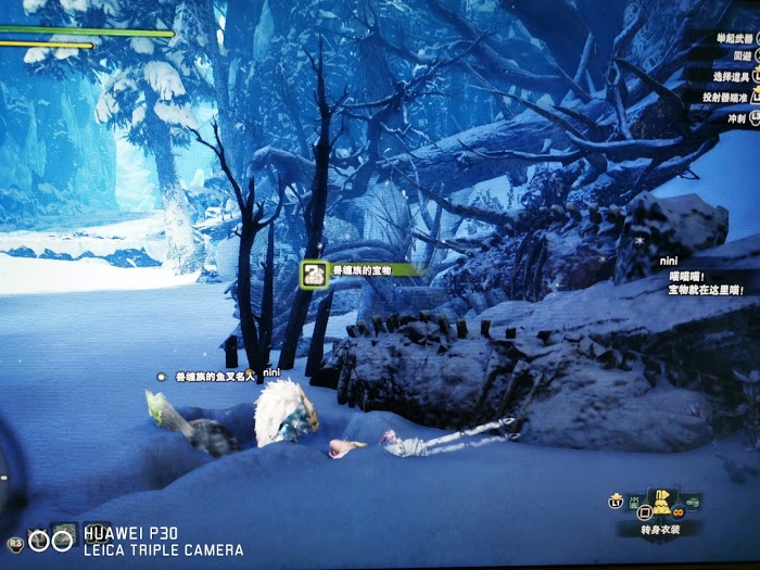 魔物獵人 世界 Iceborne 聚魔之地素材收集方法