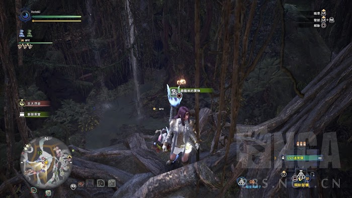 魔物獵人 世界 Iceborne 全60處寶物位置圖示