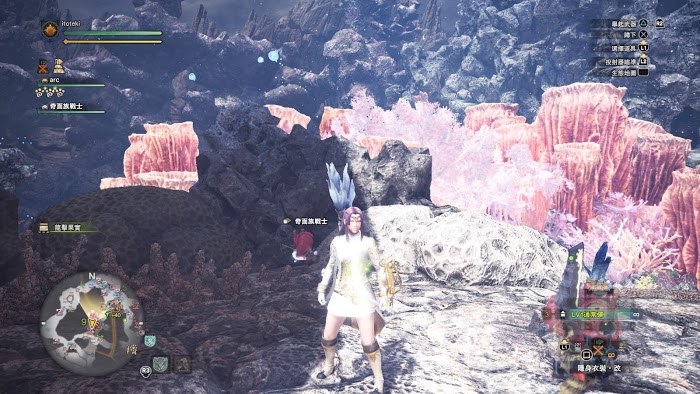魔物獵人 世界 Iceborne 全60處寶物位置圖示