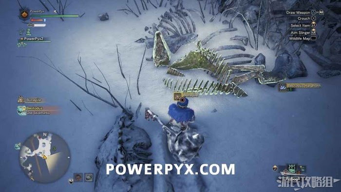 魔物獵人 世界 Iceborne 全骨塚位置分享