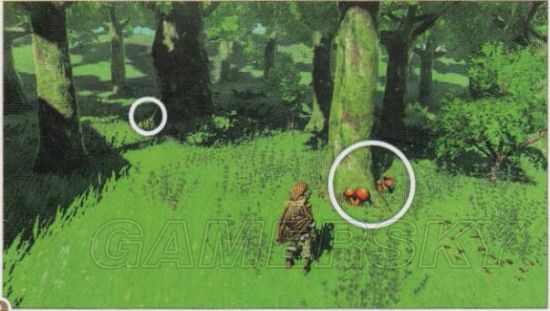 薩爾達傳說 曠野之息 全支線任務圖文攻略