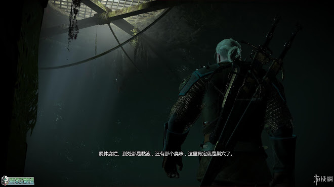 巫師 3 狂獵 DLC石之心圖文攻略