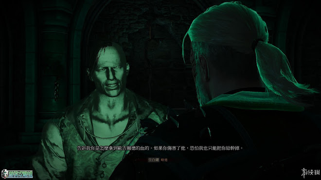 巫師 3 狂獵 DLC石之心圖文攻略
