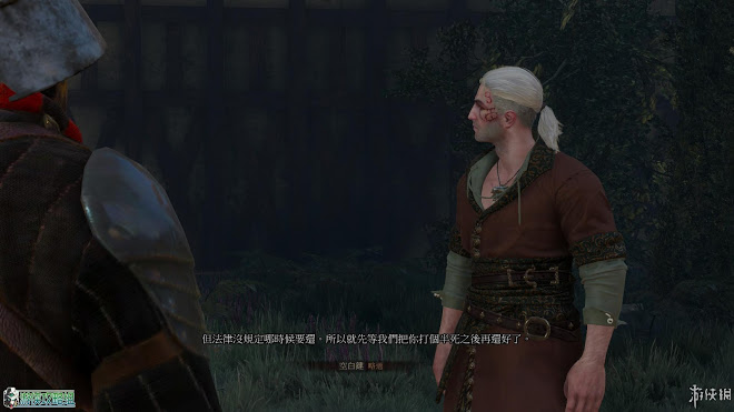 巫師 3 狂獵 DLC石之心圖文攻略