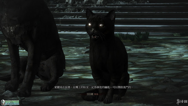 巫師 3 狂獵 DLC石之心圖文攻略