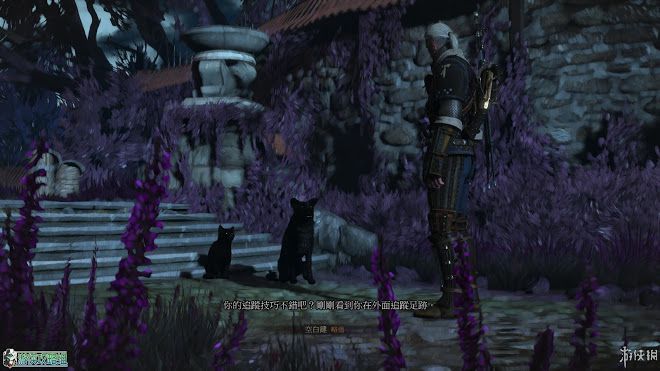 巫師 3 狂獵 DLC石之心圖文攻略