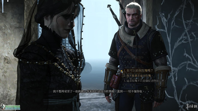巫師 3 狂獵 DLC石之心圖文攻略