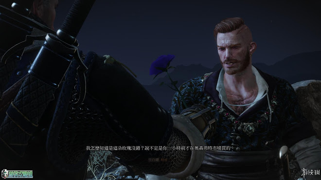 巫師 3 狂獵 DLC石之心圖文攻略