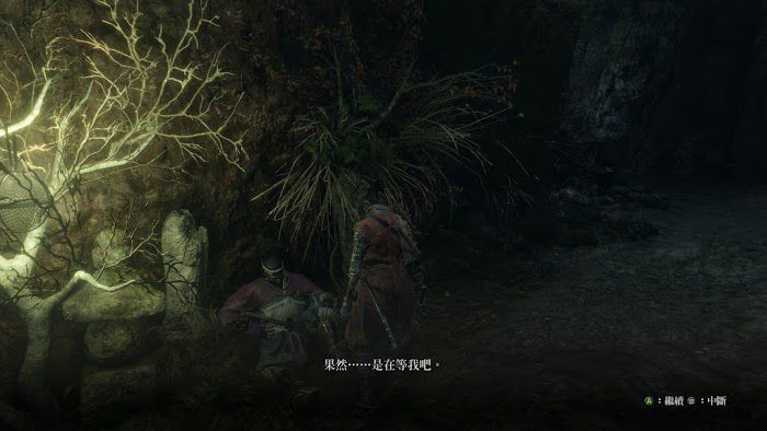 隻狼 暗影雙死 水生的凜支線任務完成方法