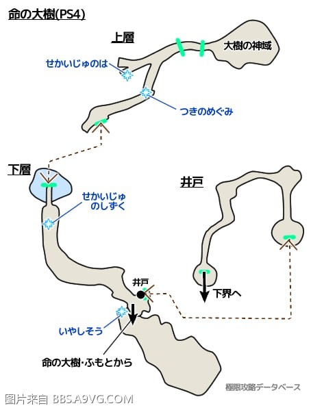 勇者鬥惡龍11 尋覓逝去的時光 3DS全迷宮地圖分享