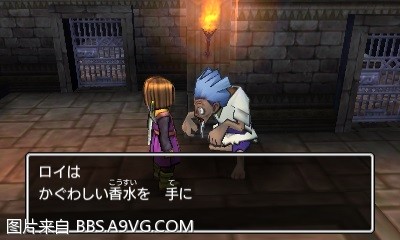 勇者鬥惡龍11 尋覓逝去的時光 3DS版支線任務圖文攻略