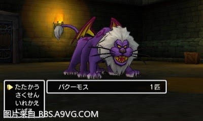 勇者鬥惡龍11 尋覓逝去的時光 3DS版圖文流程攻略