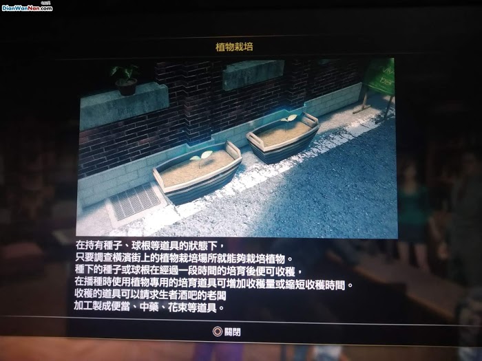 人中之龍7 光與闇的去向 主線流程圖文攻略