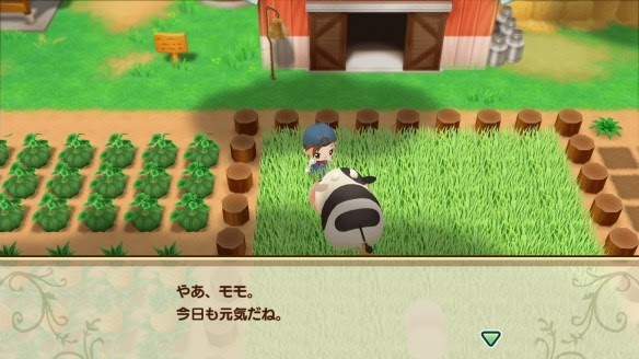 牧場物語 重聚礦石鎮 人物好感度與動物飼養技巧整理