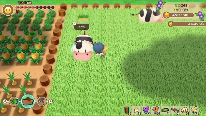 牧場物語 重聚礦石鎮 全寵物取得方法介紹分享