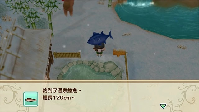 牧場物語 重聚礦石鎮 第一年冬圖文流程攻略