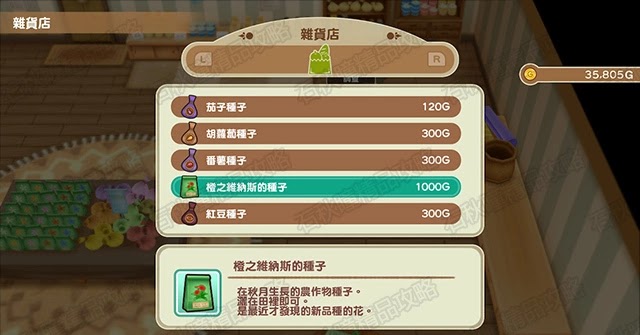 牧場物語 重聚礦石鎮 第一年秋圖文流程攻略