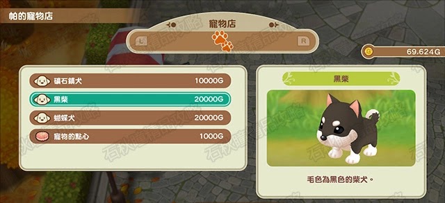 牧場物語 重聚礦石鎮 第一年秋圖文流程攻略