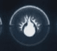 聖靈之光2 (Ori and the Will of the Wisps) 全精靈碎片效果整理