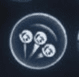 聖靈之光2 (Ori and the Will of the Wisps) 全精靈碎片效果整理