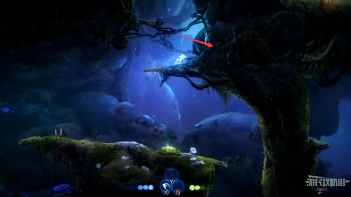 聖靈之光2 (Ori and the Will of the Wisps) 全支線、收集流程圖文攻略