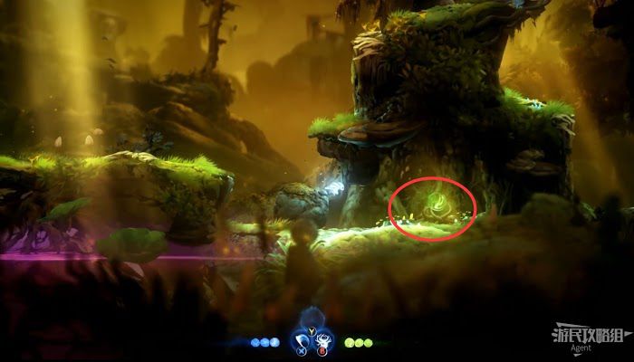 聖靈之光2 (Ori and the Will of the Wisps) 全支線、收集流程圖文攻略